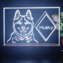ADVPRO Husky Personalized Tabletop LED neon sign st5-p0095-tm - White