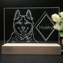 ADVPRO Husky Personalized Tabletop LED neon sign st5-p0095-tm - 7 Color