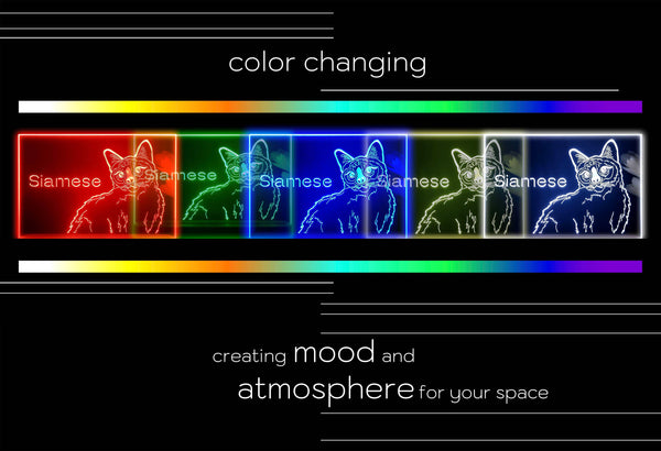 ADVPRO Siamese Personalized Tabletop LED neon sign st5-p0096-tm - Color Changing
