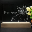ADVPRO Siamese Personalized Tabletop LED neon sign st5-p0096-tm - 7 Color