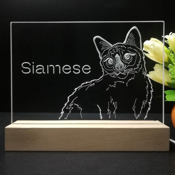 ADVPRO Siamese Personalized Tabletop LED neon sign st5-p0096-tm - 7 Color