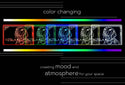 ADVPRO Vizsla Personalized Tabletop LED neon sign st5-p0097-tm - Color Changing
