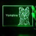 ADVPRO Yorkshire Personalized Tabletop LED neon sign st5-p0098-tm - Green