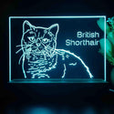 ADVPRO British Shorthair Personalized Tabletop LED neon sign st5-p0102-tm - Sky Blue