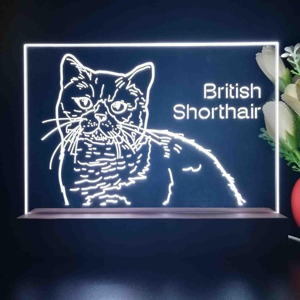 ADVPRO British Shorthair Personalized Tabletop LED neon sign st5-p0102-tm - White