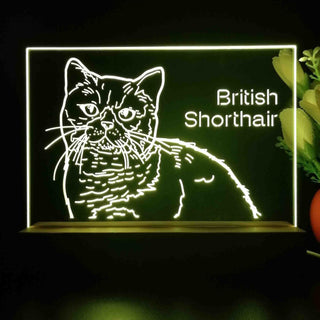 ADVPRO British Shorthair Personalized Tabletop LED neon sign st5-p0102-tm - Yellow