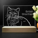 ADVPRO British Shorthair Personalized Tabletop LED neon sign st5-p0102-tm - 7 Color