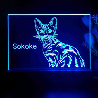 ADVPRO Sokoke  Personalized Tabletop LED neon sign st5-p0103-tm - Blue