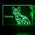 ADVPRO Sokoke  Personalized Tabletop LED neon sign st5-p0103-tm - Green