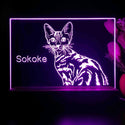 ADVPRO Sokoke  Personalized Tabletop LED neon sign st5-p0103-tm - Purple