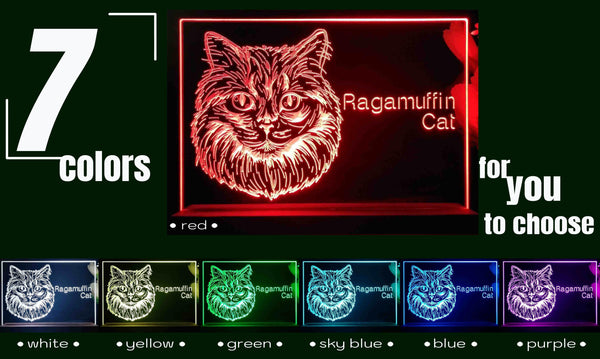 ADVPRO Ragamuffin Cat Personalized Tabletop LED neon sign st5-p0104-tm