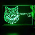 ADVPRO Ragamuffin Cat Personalized Tabletop LED neon sign st5-p0104-tm - Green