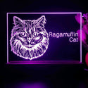 ADVPRO Ragamuffin Cat Personalized Tabletop LED neon sign st5-p0104-tm - Purple