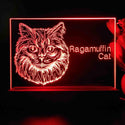 ADVPRO Ragamuffin Cat Personalized Tabletop LED neon sign st5-p0104-tm - Red