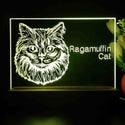 ADVPRO Ragamuffin Cat Personalized Tabletop LED neon sign st5-p0104-tm - Yellow