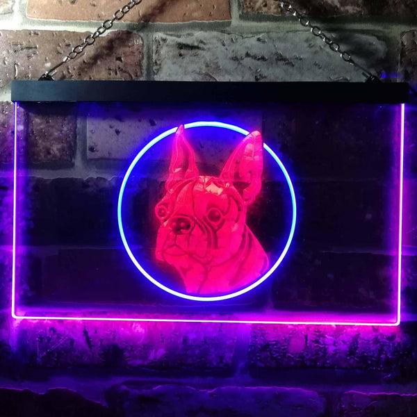 ADVPRO Boston Terrier Dog Bedroom Dual Color LED Neon Sign st6-i0656 - Blue & Red