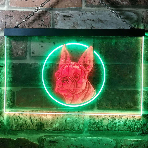 ADVPRO Boston Terrier Dog Bedroom Dual Color LED Neon Sign st6-i0656 - Green & Red