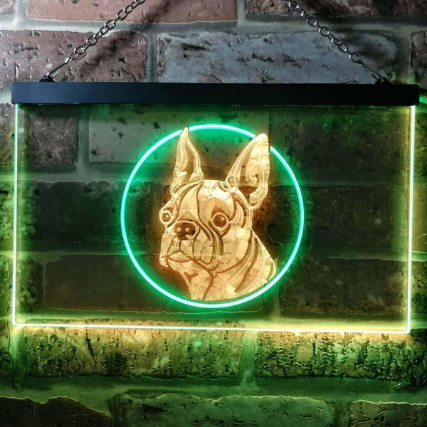 ADVPRO Boston Terrier Dog Bedroom Dual Color LED Neon Sign st6-i0656 - Green & Yellow