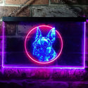 ADVPRO Boston Terrier Dog Bedroom Dual Color LED Neon Sign st6-i0656 - Red & Blue