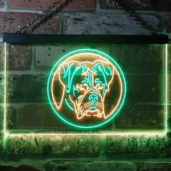 ADVPRO Boxer Dog Bedroom Dual Color LED Neon Sign st6-i0657 - Green & Yellow