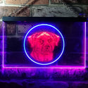 ADVPRO Rottweiler Dog Bedroom Dual Color LED Neon Sign st6-i0684 - Blue & Red