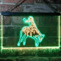 ADVPRO Western Cowboy Bull Rider Bar Illuminated Dual Color LED Neon Sign st6-i0781 - Green & Yellow