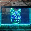 ADVPRO Bengal Cat Pet Shop Lover Bedroom Decoration Dual Color LED Neon Sign st6-i0984 - Green & Blue