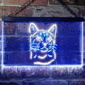 ADVPRO Bengal Cat Pet Shop Lover Bedroom Decoration Dual Color LED Neon Sign st6-i0984 - White & Blue