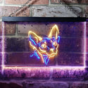 ADVPRO Sphynx Canadian Hairless Cat Bedroom Dual Color LED Neon Sign st6-i0988 - Blue & Yellow