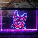 ADVPRO Korat Cat Pet Shop Bedroom Decoration Dual Color LED Neon Sign st6-i0990 - Blue & Red