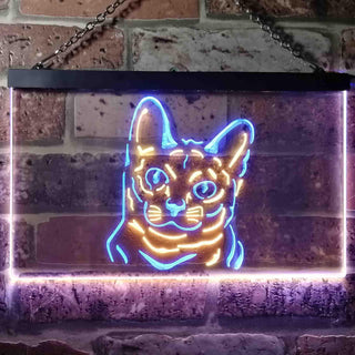 ADVPRO Korat Cat Pet Shop Bedroom Decoration Dual Color LED Neon Sign st6-i0990 - Blue & Yellow
