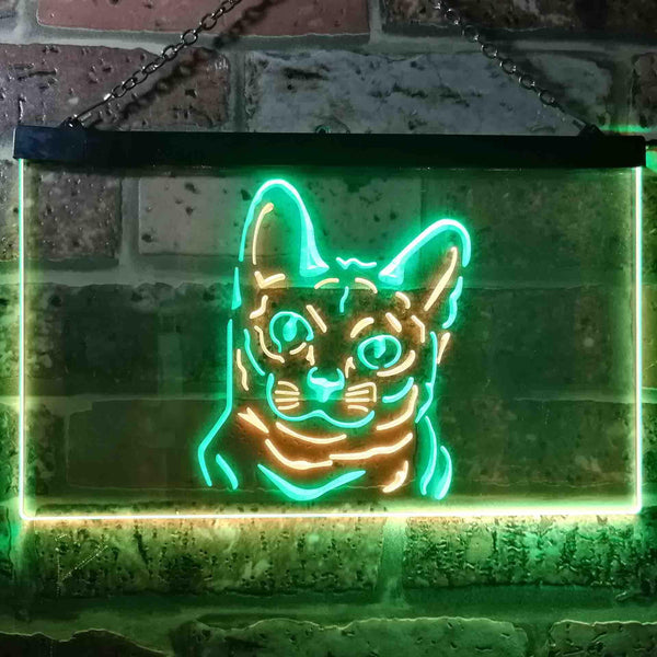 ADVPRO Korat Cat Pet Shop Bedroom Decoration Dual Color LED Neon Sign st6-i0990 - Green & Yellow