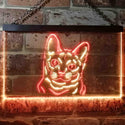 ADVPRO Korat Cat Pet Shop Bedroom Decoration Dual Color LED Neon Sign st6-i0990 - Red & Yellow