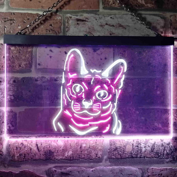 ADVPRO Korat Cat Pet Shop Bedroom Decoration Dual Color LED Neon Sign st6-i0990 - White & Purple