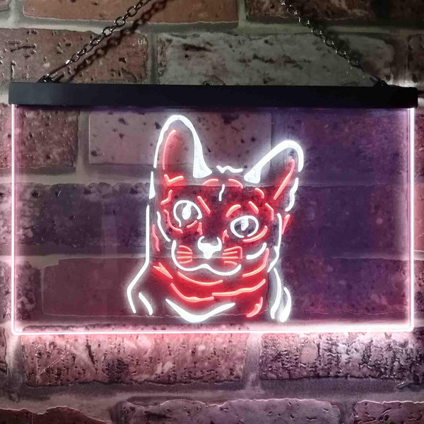 ADVPRO Korat Cat Pet Shop Bedroom Decoration Dual Color LED Neon Sign st6-i0990 - White & Red