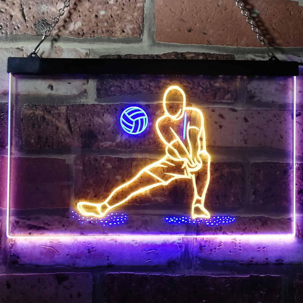 ADVPRO Volleyball Sport Room Display Home Bar Dual Color LED Neon Sign st6-i3167 - Blue & Yellow