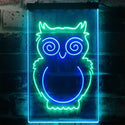 ADVPRO Owl Kid Room Display  Dual Color LED Neon Sign st6-i3256 - Green & Blue