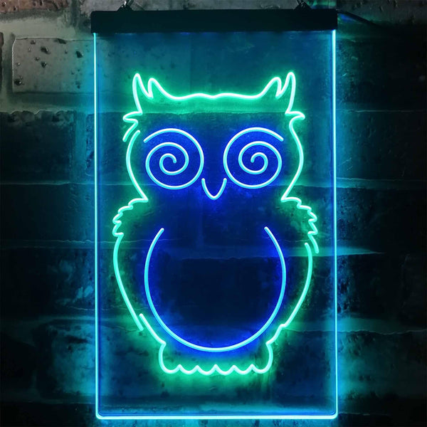 ADVPRO Owl Kid Room Display  Dual Color LED Neon Sign st6-i3256 - Green & Blue