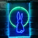 ADVPRO Rabbit Moon Window Display  Dual Color LED Neon Sign st6-i3266 - Green & Blue