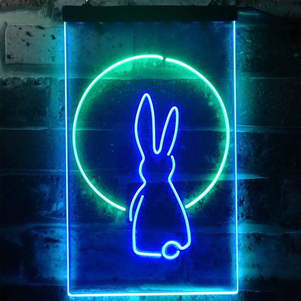 ADVPRO Rabbit Moon Window Display  Dual Color LED Neon Sign st6-i3266 - Green & Blue