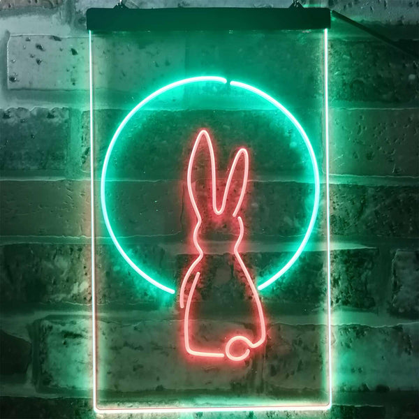 ADVPRO Rabbit Moon Window Display  Dual Color LED Neon Sign st6-i3266 - Green & Red