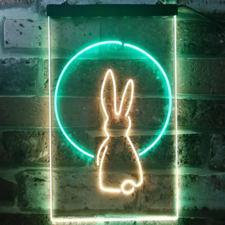ADVPRO Rabbit Moon Window Display  Dual Color LED Neon Sign st6-i3266 - Green & Yellow
