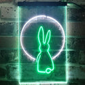 ADVPRO Rabbit Moon Window Display  Dual Color LED Neon Sign st6-i3266 - White & Green