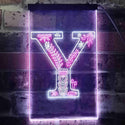 ADVPRO Letter Y Initial Monogram Family Name  Dual Color LED Neon Sign st6-i3462 - White & Purple