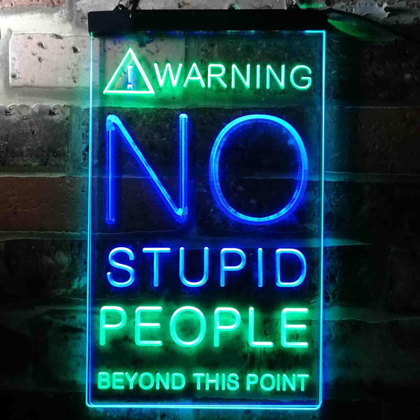 ADVPRO No Stupid People Game Room  Dual Color LED Neon Sign st6-i3672 - Green & Blue