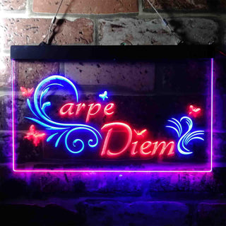 ADVPRO Carpe Diem Seize The Day Quote Bedroom Dual Color LED Neon Sign st6-i3679 - Blue & Red