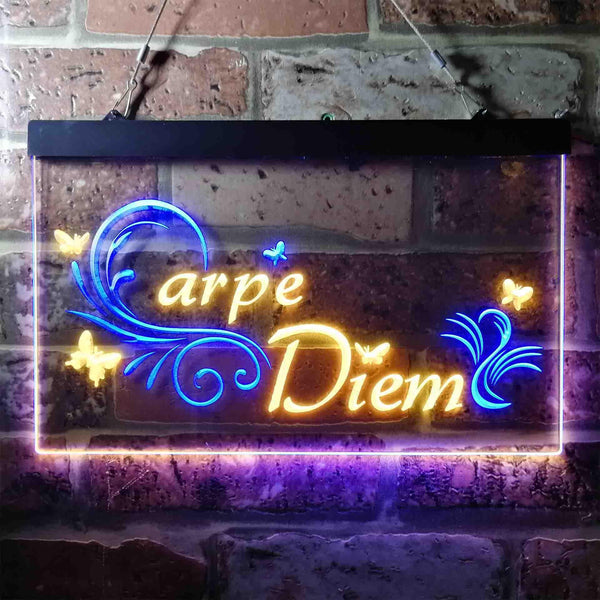 ADVPRO Carpe Diem Seize The Day Quote Bedroom Dual Color LED Neon Sign st6-i3679 - Blue & Yellow