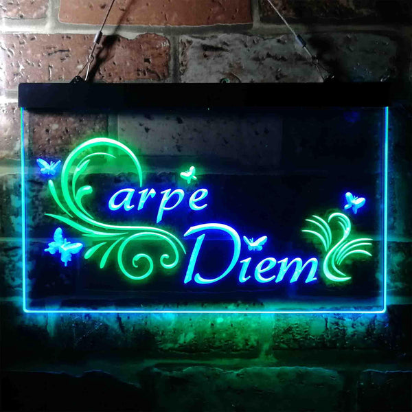ADVPRO Carpe Diem Seize The Day Quote Bedroom Dual Color LED Neon Sign st6-i3679 - Green & Blue