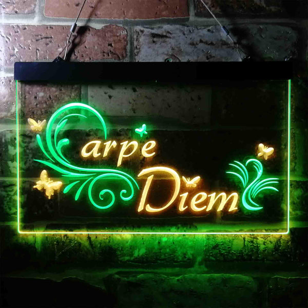 ADVPRO Carpe Diem Seize The Day Quote Bedroom Dual Color LED Neon Sign st6-i3679 - Green & Yellow