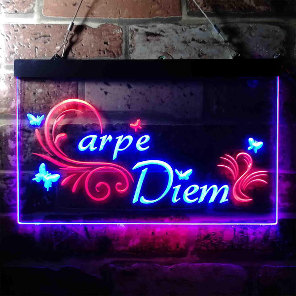 ADVPRO Carpe Diem Seize The Day Quote Bedroom Dual Color LED Neon Sign st6-i3679 - Red & Blue